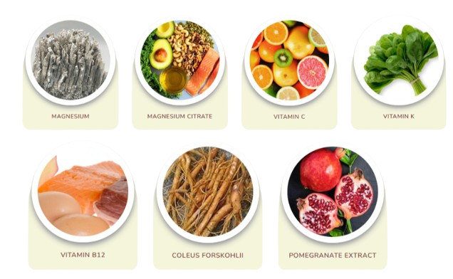 HydroLean XT Key Ingredients