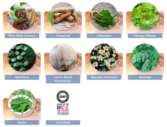 JointVive Ingredients