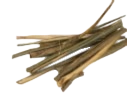 White Willow Bark